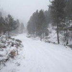 camara-07-02-2012-014