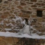 camara-07-02-2012-033