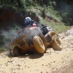 transpiquads2003-039