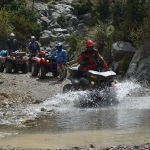 transpiquads2003-107
